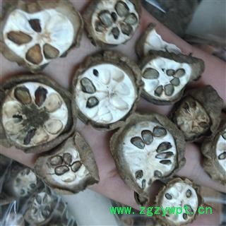 预知子 八月札 净统  产地 四川省南充市南部县图2