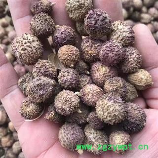 砂仁 阳春壳砂仁 炕干 统货 产地 云南省文山壮族苗族自治州砚山县图2