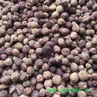 砂仁 阳春壳砂仁 炕干 统货 产地 云南省文山壮族苗族自治州砚山县图3