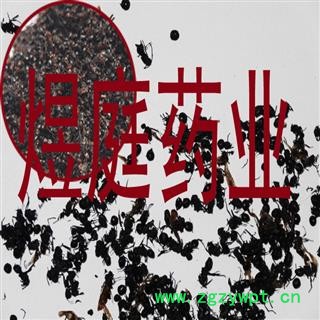 煜庭药业 黑蚂蚁 清水 优质图4