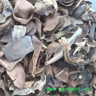 厚朴花 无硫统 产地 四川省广元市市中区 双鹏药材行 可提供打粉图2