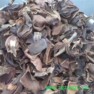 厚朴花 无硫统 产地 四川省广元市市中区 双鹏药材行 可提供打粉图3