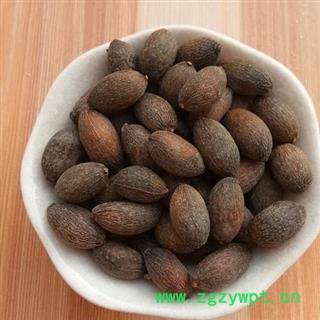 蒲葵子 正品保证质量7天无理由退货退款 安品堂图2