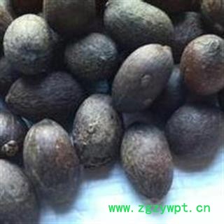 蒲葵子 正品保证质量7天无理由退货退款 安品堂图3