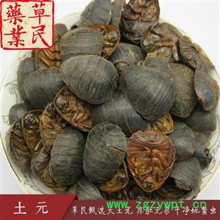 草民甄选大土元 瘪肚无杂 干净地鳖虫 实物拍摄 专业批发量大从优图3