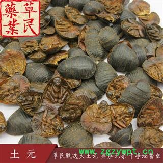 草民甄选大土元 瘪肚无杂 干净地鳖虫 实物拍摄 专业批发量大从优图4