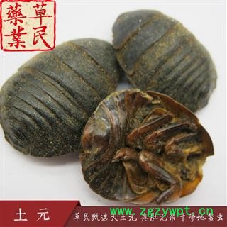 草民甄选大土元 瘪肚无杂 干净地鳖虫 实物拍摄 专业批发量大从优图2