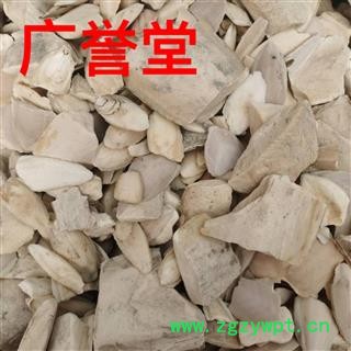 海螵蛸 统货 产地 广西壮族自治区图4