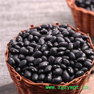 黑豆干净无杂质粒粒饱满正品保证质量7天无理由退货退款 中药材批发 丽丽药业图4