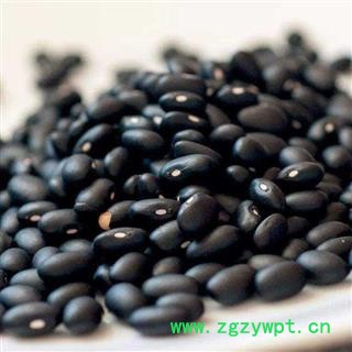 黑豆干净无杂质粒粒饱满正品保证质量7天无理由退货退款 中药材批发 丽丽药业图2