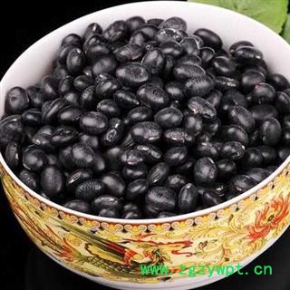 黑豆干净无杂质粒粒饱满正品保证质量7天无理由退货退款 中药材批发 丽丽药业图3