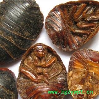 《满198包邮》土元 土鳖虫水洗腹空大统货  产地 山东省图2