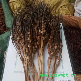 新辉药业海南特产槟榔花 正品优质图3