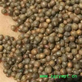 新辉药业中药材正品 黄荆子 新货图2