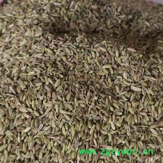 新辉药业中药材小茴香 优质调料图3