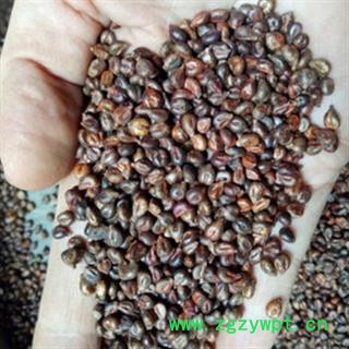 新辉药业正品新疆葡萄籽  葡萄子 可打粉图2