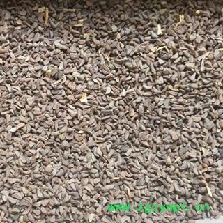 新辉药业新疆骆驼蓬籽 骆驼篷子实物拍摄图3