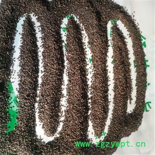 新辉药业车前子 水洗车前子 盐车前子图3