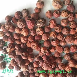 新辉药业野生南山楂 山楂豆 小叶山楂另有山楂炭图3