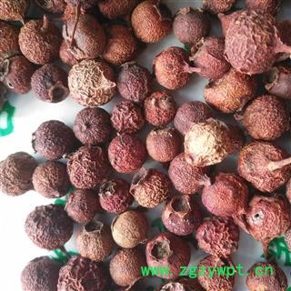 新辉药业野生南山楂 山楂豆 小叶山楂另有山楂炭图4