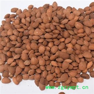 新辉药业正品山桃仁 优质选货图2