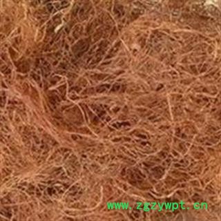 灵吉药业 玉米须  选 纯净纯干货 批发各种规格名贵药材 中草药 花茶 矿石图2