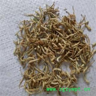 金银花 金银花开花统货 产地 河南省图2