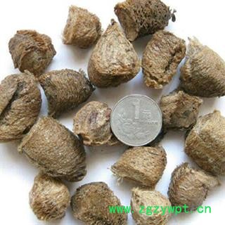 灵吉药业   桑螵蛸   熟大绵 蜱蛸  桑蛸  冒焦 螵蛸  致神 螳螂子  桑上螳螂窠  野狐鼻涕  赖尿郎  刀螂子  老鸹芯脐  螳螂蛋  尿唧唧 流尿狗 猴儿包 螳螂壳图4