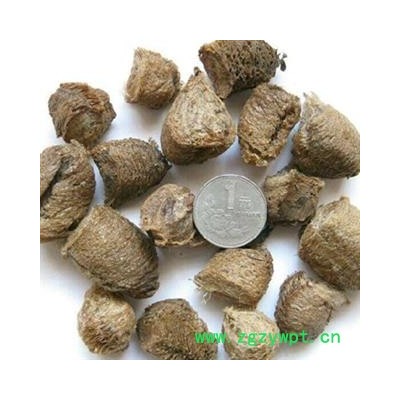 灵吉药业   桑螵蛸   熟大绵 蜱蛸  桑蛸  冒焦 螵蛸  致神 螳螂子  桑上螳螂窠  野狐鼻涕  赖尿郎  刀螂子  老鸹芯脐  螳螂蛋  尿唧唧 流尿狗 猴儿包 螳螂壳