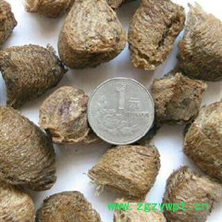 灵吉药业   桑螵蛸   熟大绵 蜱蛸  桑蛸  冒焦 螵蛸  致神 螳螂子  桑上螳螂窠  野狐鼻涕  赖尿郎  刀螂子  老鸹芯脐  螳螂蛋  尿唧唧 流尿狗 猴儿包 螳螂壳图2