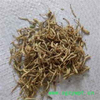 金银花 金银花开花统货 产地 河南省图3