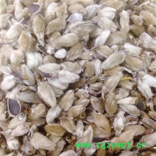 辛夷 统货 产地 河南省图2