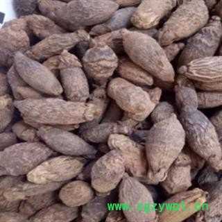 新辉药业工艺品原材料 槟榔 枣槟榔图2