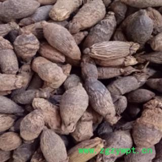 新辉药业工艺品原材料 槟榔 枣槟榔图3