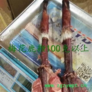 鹿鞭 纯正梅花鹿鞭 产地 吉林省白山市抚松县图3