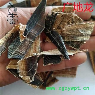 大地龙 广地龙全开片 产地 广西壮族自治区玉林市玉林药市图2