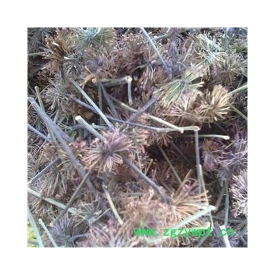 （包邮）特级文山三七老花盘