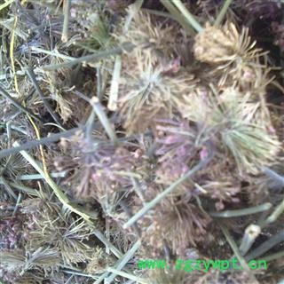 （包邮）特级文山三七老花盘图2