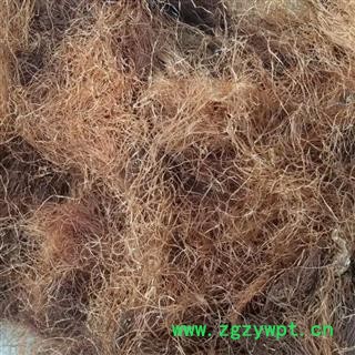 玉米须 大货优惠  统货图3