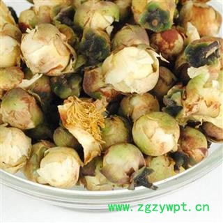 山茶花 统货 产地 重庆市图3