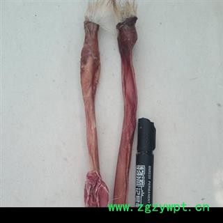 鹿鞭 长白山梅花鹿鞭 产地直销，纯正品，假一赔十