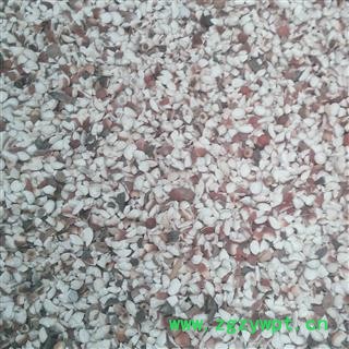 芡实 芡实四六开小米 产地 广东省 国药堂 专注品质图3