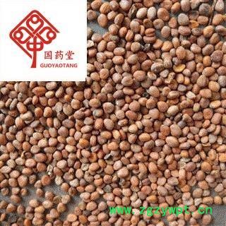 莱菔子 好统货 颜色好 足干 产地 山东省 国药堂专注品质图2