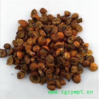 川楝子 炒川楝子 统 产地 四川省 国药堂 专注品质图2