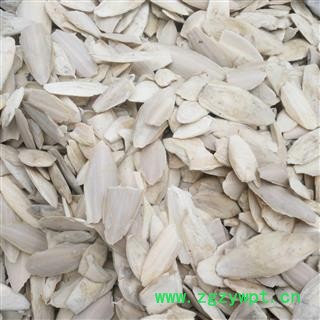 海螵蛸 统 产地 山东省图2