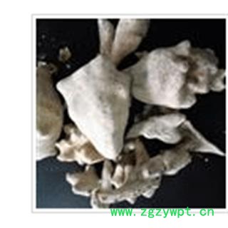 五倍子 统 产地 四川省图2