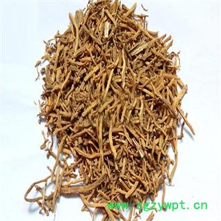 煜庭药业 玉簪花根 正品 返现进行中图3