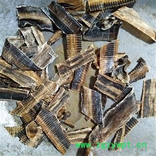 地龙 广地龙全开片 产地 广西壮族自治区图3