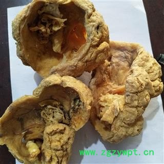 紫河车 正品胎盘紫河车一公斤17个左右 产地 山东省图2