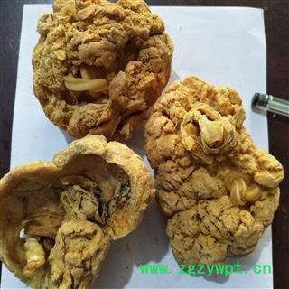 紫河车 正品胎盘紫河车一公斤17个左右 产地 山东省图3